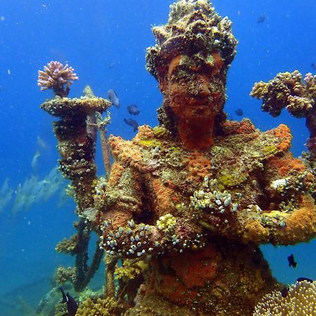 Biorock Homestay & Dive Center Pemuteran Экстерьер фото