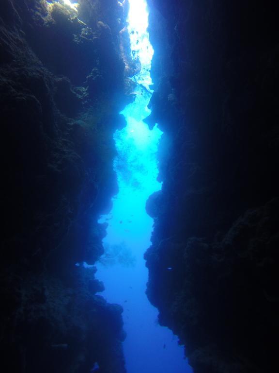 Biorock Homestay & Dive Center Pemuteran Экстерьер фото