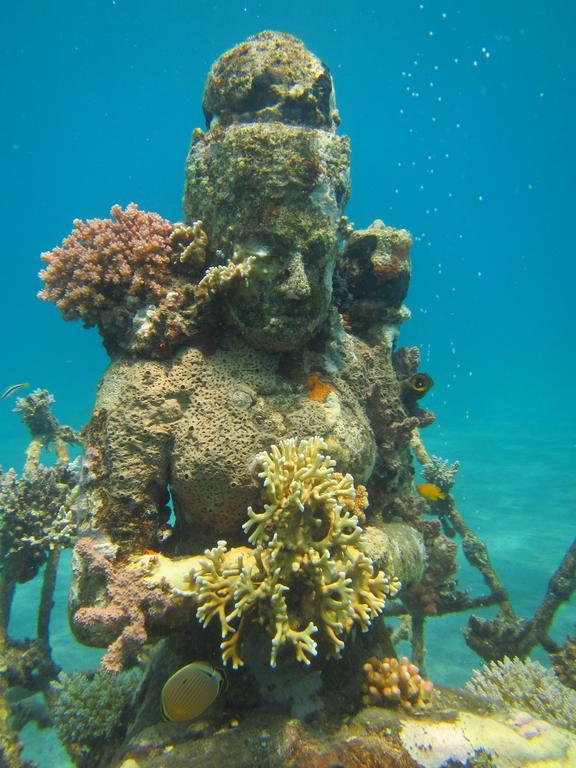 Biorock Homestay & Dive Center Pemuteran Экстерьер фото