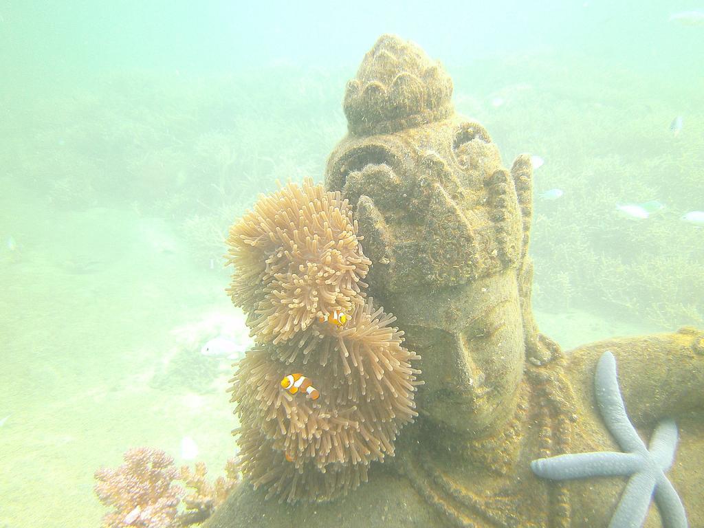 Biorock Homestay & Dive Center Pemuteran Экстерьер фото