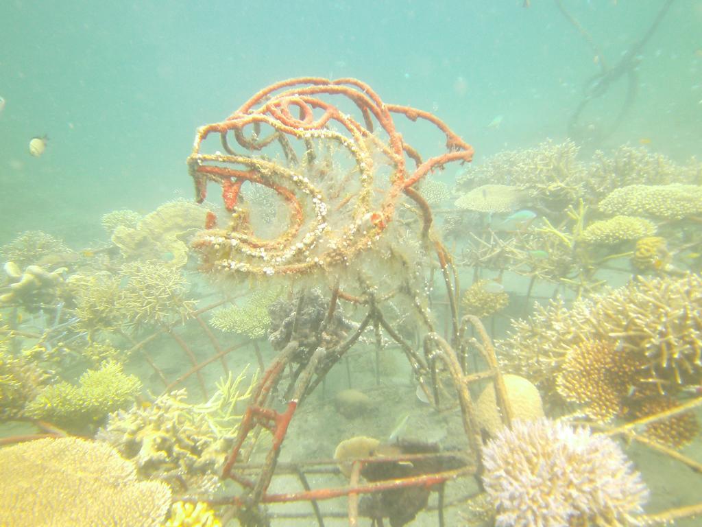 Biorock Homestay & Dive Center Pemuteran Экстерьер фото