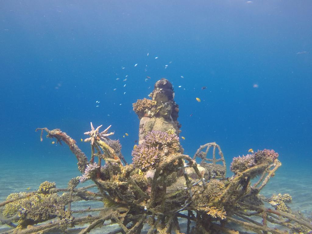Biorock Homestay & Dive Center Pemuteran Экстерьер фото