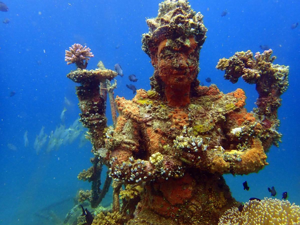 Biorock Homestay & Dive Center Pemuteran Экстерьер фото